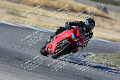 media/Oct-29-2023-Carters at The Track (Sun) [[b2bb4383ab]]/B Plus/1020am (Sunrise)/